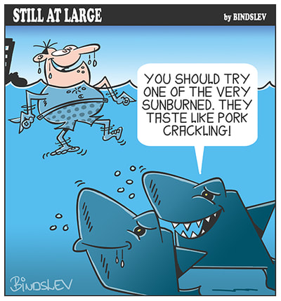 Sharks - pork crackling